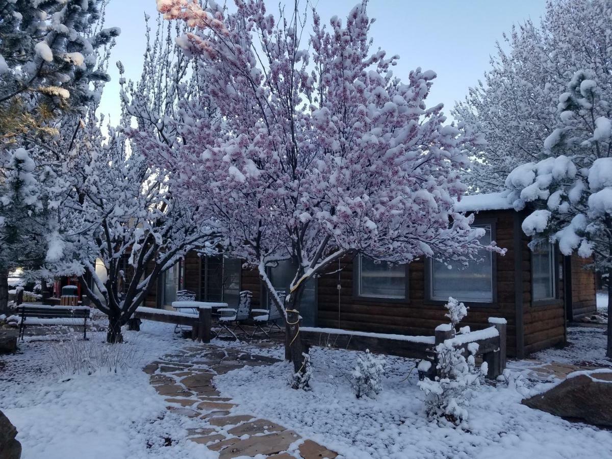 West Winds Lodge Ruidoso Zewnętrze zdjęcie